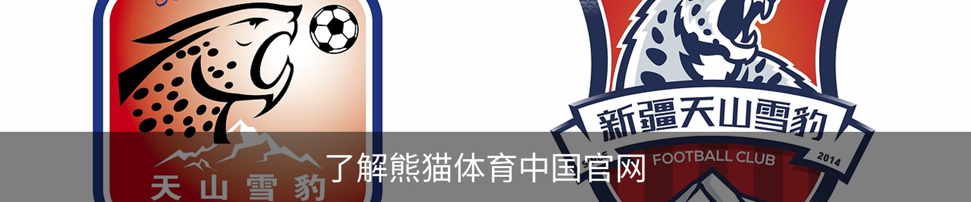 了解熊猫体育中国官网
